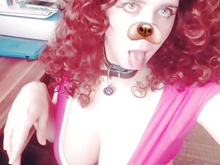 Horny Sissy Puppy Wants Bowl Of Cock Milk free video